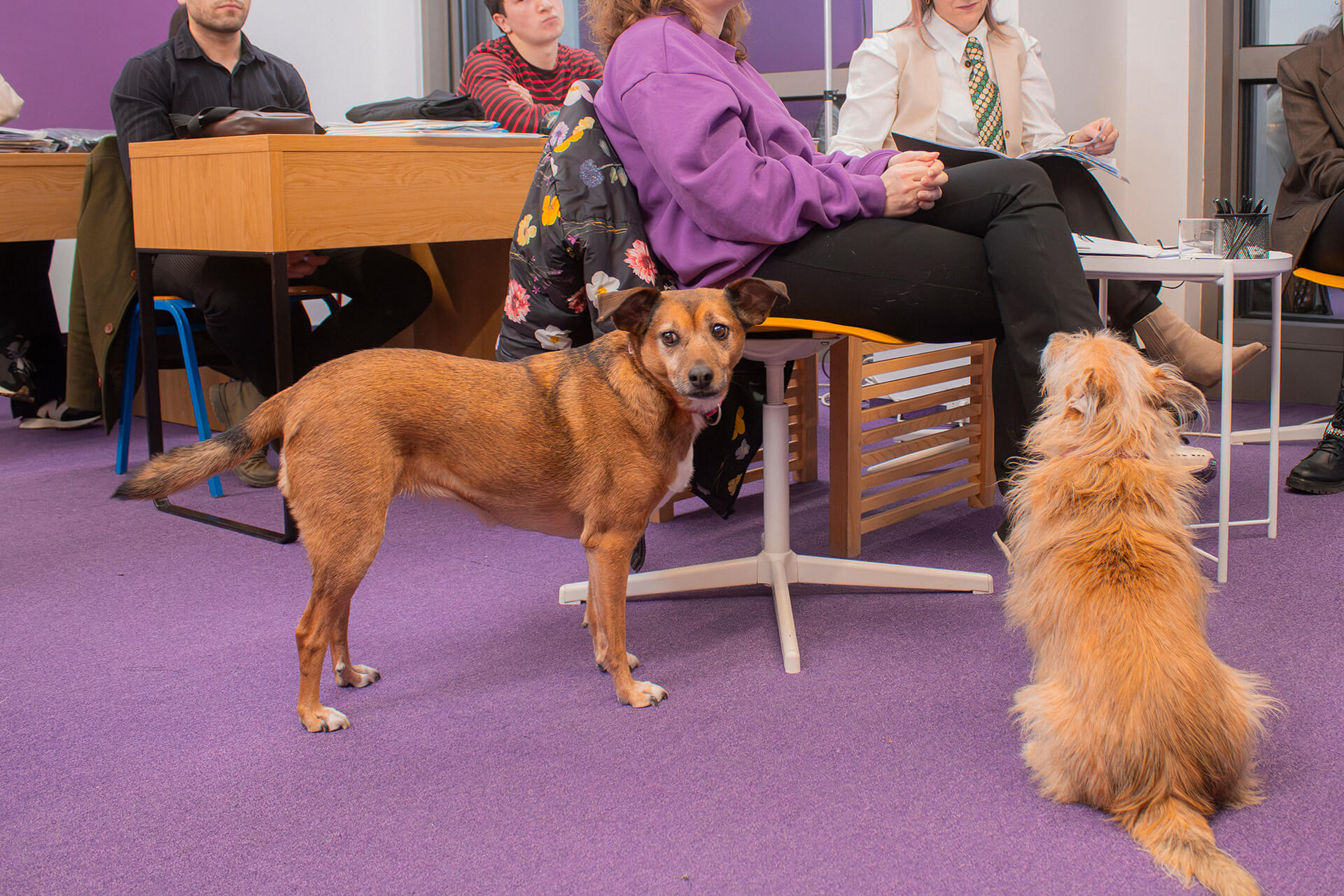 испитна сесија моден дизајн скопје