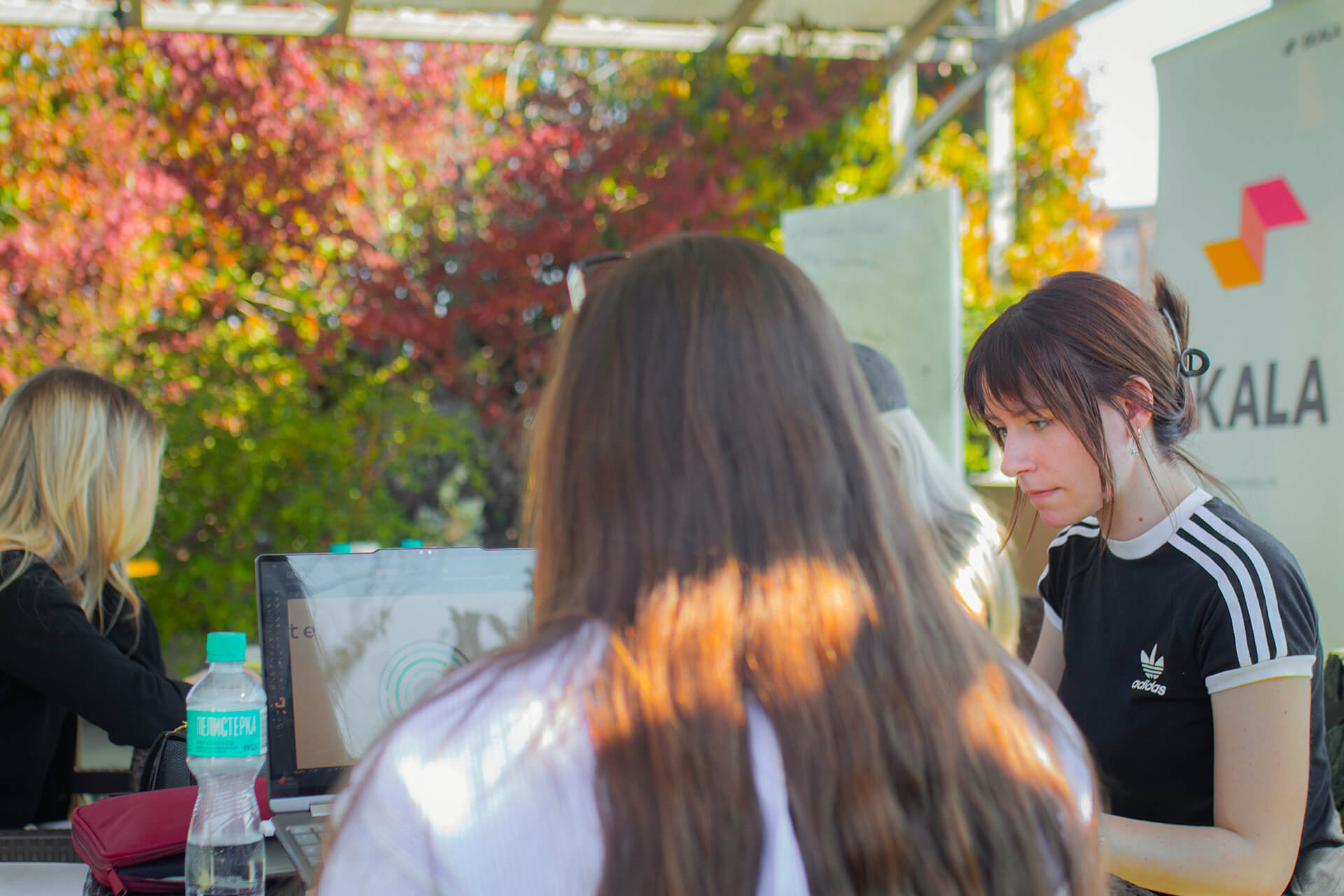 студенти на хакатон Collarette x Скала за ребрендинг проект