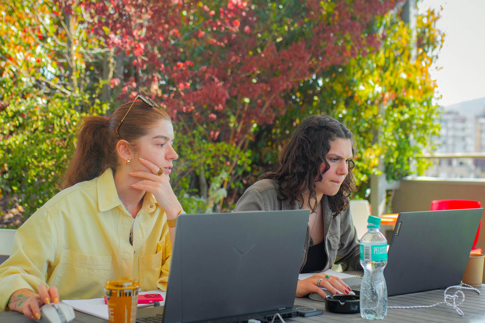 студенти на хакатон Collarette x Скала за ребрендинг проект